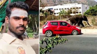 செல்பி மோகத்தால் வந்த வினை.. போனில் வீடியோ எடுத்த இளைஞரை மிதித்து கொன்ற யானை