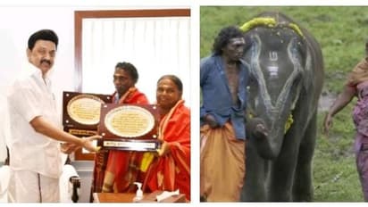 ஆஸ்கர் விருது வென்ற பொம்மன்,பெல்லி தம்பதி முதலமைச்சருடன் சந்திப்பு.! தலா ஒரு லட்சம் நிதி உதவி வழங்கிய ஸ்டாலின்