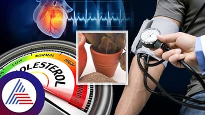 Health Tips: ಬಿಪಿ, ಕೊಲೆಸ್ಟ್ರಾಲ್ ಕಂಟ್ರೋಲ್ನಲ್ಲಿಡಲು ಈ ಸ್ಪೆಷಲ್ ಟೀ ಕುಡೀರಿ ಸಾಕು