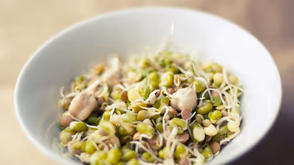 Daily Sprouts: Unlocking health benefits for your body and well-being