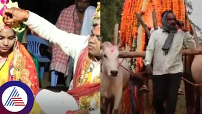 ಸಂಪ್ರದಾಯ ಉಳಿಸಲು ಎತ್ತಿನ ಗಾಡಿ ಏರಿ ಬಂದ ವಧು, ನವಜೋಡಿಯ ಕಾರ್ಯಕ್ಕೆ ಭೇಷ್ ಎಂದ ನೆಟ್ಟಿಗರು