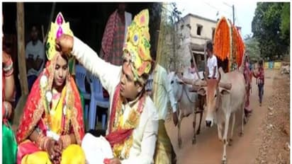 ആചാരസംരക്ഷണം; കാളവണ്ടിയില്‍ വീട്ടുകാരെ ഞെട്ടിച്ച് മരുമകളും മിസ്റ്റര്‍ മരുമകനും!