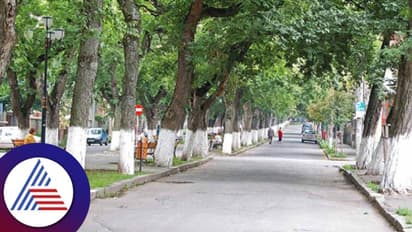 BMRCL to plant 15,000 trees across Bengaluru to offset metro construction impact in city