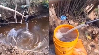 കറണ്ട് വേണ്ട, വേറെ ചെലവുമില്ല; വീട്ടിലേക്ക് വെള്ളമെത്തിക്കാൻ കിടിലൻ സൂത്രം, വീഡിയോ...