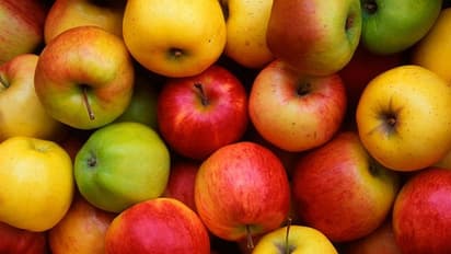 ദിവസവും ഒരു ആപ്പിൾ വീതം കഴിക്കുന്നത് ശീലമാക്കൂ, കാരണം 