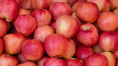 Health Tips : ദിവസവും ഒരു ആപ്പിൾ വീതം കഴിക്കണമെന്ന് പറയുന്നതിന്റെ കാരണങ്ങൾ ഇതൊക്കെയാണ്