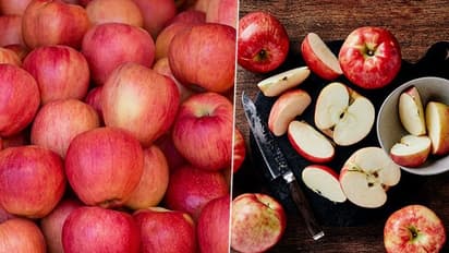 Here is how eating apples can be beneficial for your health daily