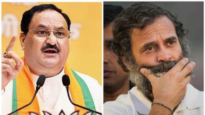 'ഒബിസി വിഭാഗത്തെ കള്ളന്മാരോട് ഉപമിച്ചത് രാഹുൽ ഗാന്ധിയുടെ ജാതി മനസ്, 2024 ൽ ശിക്ഷ കടുക്കും': ബിജെപി അധ്യക്ഷൻ