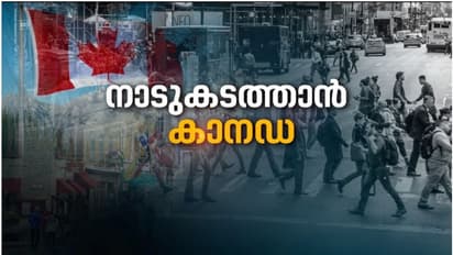 സ്വപ്നങ്ങളുമായി കാനഡക്ക് വിമാനം കയറി, ഏജന്‍റ് ചതിച്ചു; വിദ്യാർഥികള്‍ക്ക് നഷ്ടം 20ലക്ഷം, നാടു കടത്താൻ അധികൃതർ