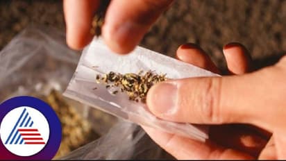 ಉತ್ತರ ಕನ್ನಡ: ₹10 ಲಕ್ಷ ಮೊತ್ತದ ಚರಸ್ ಮಾರಾಟಕ್ಕೆ ಯತ್ನ, ಮೂವರ ಬಂಧನ