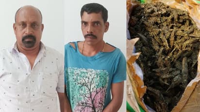 പൊലീസിനെ കണ്ട് പരുങ്ങി; 4 കിലോ കഞ്ചാവുമായി സിപിഎം ബ്രാഞ്ച് സെക്രട്ടറിയടക്കം രണ്ട് പേർ പിടിയിൽ