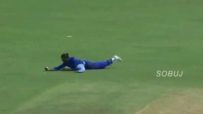 ലാബുഷെയ്നിനെ വീഴ്ത്തി ജഡേജയുടെ പറക്കും ക്യാച്ച്-വീഡിയോ