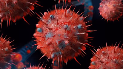 வேகமாக பரவும் HMPV வைரஸ்.. அடுத்த ஆபத்தா? என்னென்ன அறிகுறிகள்.. நோயை எப்படி தடுப்பது?