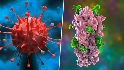 H3N2 virus Influenza: 3 crucial WARNING signs not to be taken lightly 