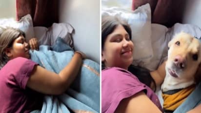 Viral video: നായയുമായി ട്രെയിനിലൊരു യാത്ര, വീഡിയോ വൈറൽ, കമന്റുമായി മന്ത്രിയും