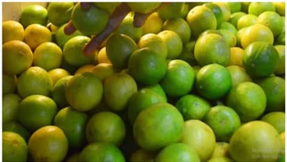 Lemon Price Hike : നാരങ്ങയ്ക്ക് പൊള്ളുന്ന വില ; ഒരു മാസത്തിനിടെ കൂടിയത് ഇരട്ടിയിലധികം