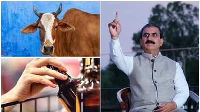 ಹಾಲು ಕೊಡುವ ಹಸುವಿಗಾಗಿ ಆಲ್ಕೋಹಾಲ್ ಮೇಲೆ ಸೆಸ್, ಹಿಮಾಚಲ ಪ್ರದೇಶ ಕಾಂಗ್ರೆಸ್ ಸರ್ಕಾರ ತೀರ್ಮಾನ!