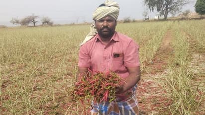 ಕರ್ನಾಟಕದಲ್ಲಿ ಮಳೆಗೆ ಭಾರೀ ಬೆಳೆಹಾನಿ, ಕಂಗಾಲಾದ ರೈತ..!