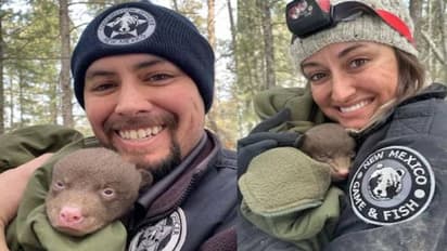 'ബിയർ ഹഗ്ഗർ'മാരെ ആവശ്യമുണ്ട്, ആകർഷകമായ ശമ്പളം കിട്ടും