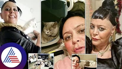 Animal Love: ತನಗೆ ಊಟವಿಲ್ಲದಿದ್ದರೂ ಬೆಕ್ಕುಗಳಿಗೆ ಆಹಾರ ನೀಡ್ತಾಳೆ ಈ ಇಂಗ್ಲೆಂಡ್ ಮಹಿಳೆ