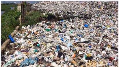 International Plastic Bag Free Day: Date, history, significance and celebration