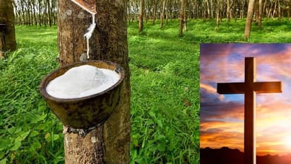 ರಬ್ಬರ್‌ ಧಾರಣೆ ಹೆಚ್ಚಿಸಿದರೆ ಬೆಂಬಲ: ಬಿಜೆಪಿ ಬೆಂಬಲಿಸಲು ಕೇರಳ ಚರ್ಚ್‌ ಷರತ್ತು