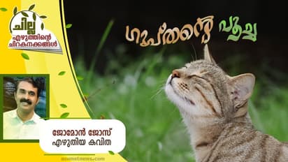 Malayalam Poem : ഗുപ്തന്റെ പൂച്ച, ജോമോന് ജോസ് എഴുതിയ കവിത