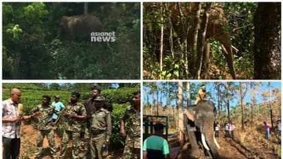 അരിക്കൊമ്പന് മിഷന്; ആള്ക്കൂട്ടം കുങ്കിയാനകളെ പ്രകോപിപ്പിക്കുന്നുവെന്ന് മന്ത്രി, താവളം മാറ്റും