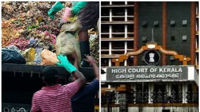 ഖരമാലിന്യ സംസ്കരണ ചട്ടങ്ങൾ നടപ്പാക്കാൻ സമയക്രമം പ്രഖ്യാപിച്ച് ഹൈക്കോടതി, കോടതി മേൽനോട്ടം വഹിക്കും