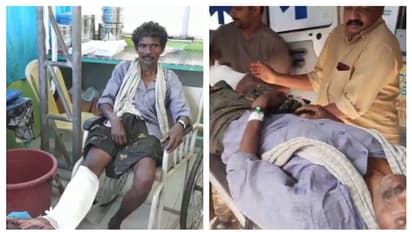 വിറക് ശേഖരിക്കാന് പോകുന്നതിനിടെ കാട്ടുതീ; അണക്കുന്നതിനിടെ ആന ഓടിച്ച് മധ്യവയസ്കന് പരിക്ക്