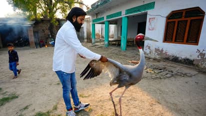 Emotional end to story of Arif Khan Gurjar and the sarus crane