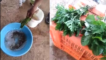 இதைத்தான் நீங்களும் சாப்பிடுறீங்களா? ஜாக்கிரதையா இருங்க! எச்சரிக்கும் ரசயான கலப்பட வீடியோ