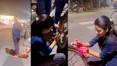 റോഡപകടത്തിൽ മുത്തച്ഛൻ മരിച്ചു, സൈക്കിൾ യാത്രികർക്ക് സൗജന്യ ലൈറ്റ് വിതരണം ചെയ്ത് യുവതി