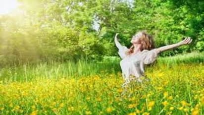 காற்றை சுத்திகரிக்கும் இந்த செடிகள் உங்கள் வீட்டில் இருக்கின்றதா? 