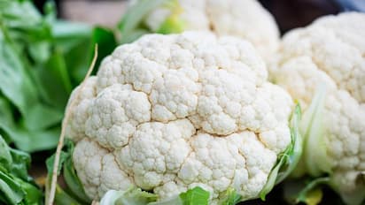 మీరు కాలీఫ్లవర్ ను తింటరా? అయితే ఈ ముచ్చట తెలుసుకోవాల్సిందే