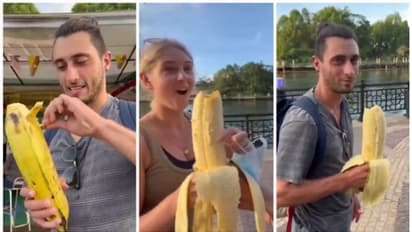 കൊന്നത്തെങ്ങ് പോലൊരു വാഴ; ഒരു വാഴപ്പഴത്തിന് 3 കിലോ തൂക്കം; ട്വിറ്ററില് വൈറലായി ഒരു വീഡിയോ !