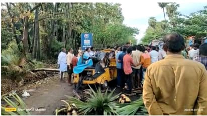 ఏలూరులో ఘోరం... తాటిచెట్టు విరిగిపడి రెండేళ్ల చిన్నారి దుర్మరణం (వీడియో)