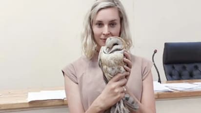 കൊലക്കുറ്റത്തിന്‍റെ വിചാരണ നടക്കുന്നതിനിടെ കോടതി മുറിയിലേക്ക് നാടകീയമായ ഒരു 'എൻട്രി'