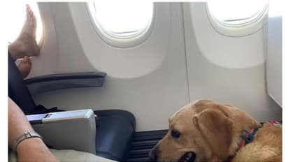 വിമാനത്തിലെ വിന്റോ ഗ്ലാസില് കാല് കയറ്റി വച്ചു; ഏറ്റവും വെറുപ്പുളവാക്കുന്ന കാര്യമെന്ന് പരാതി