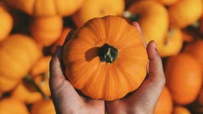 ചര്മ്മം തിളങ്ങാന് പരീക്ഷിക്കാം മത്തങ്ങ കൊണ്ടുള്ള ഈ ഫേസ് പാക്കുകള്...