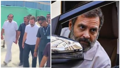 രാഹുൽ ഗാന്ധി ദില്ലിയിൽ,  വിമാനത്താവളത്തിൽ വൻ സ്വീകരണവുമായി കോൺഗ്രസ്‌ നേതാക്കളുടെയും പ്രവർത്തകരും  