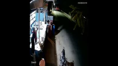 கோவையில் சாப்பிட்ட கேக்குக்கு பணம் தர மறுத்து கடையை சூறையாடிய இளைஞர்களால் பரபரப்பு