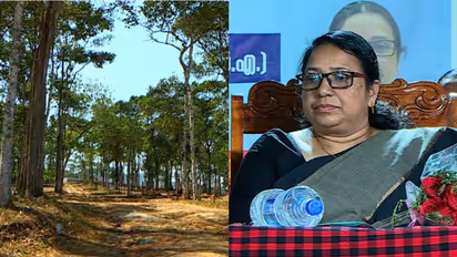 കുമളി ചുരക്കുളം എസ്റ്റേറ്റ് തോട്ടഭൂമിയുടെ പോക്കുവരവ് തടഞ്ഞ് ജില്ലാ കളക്ടർ ഉത്തരവിറക്കി