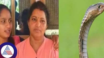 ತಾಯಿಯ ಕಾಲಿನಿಂದ ವಿಷ ಹೀರಿದ ಮಗಳು; ಕಚ್ಚಿದ್ದು ನಾಗರಹಾವಲ್ಲ ಎಂಬ ಸುದ್ದಿ ಸುಳ್ಳು ಎಂದ ಯುವತಿ