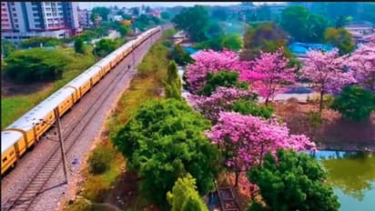 ಆಕಾಶದಿಂದ ಕಂಡ ನಮ್ಮ ಬೆಂಗಳೂರು... ಪಿಂಕ್ ಸಿಟಿಯಾಯ್ತು ಗಾರ್ಡನ್ ಸಿಟಿ!