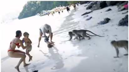 'വിടില്ല ഞാന്‍'; കുരങ്ങുകളുടെ ആക്രമണത്തില്‍ നിന്നും മകനെ രക്ഷിക്കാന്‍ പാടുപെടുന്ന അച്ഛന്‍റെ വീഡിയോ വൈറല്‍ 