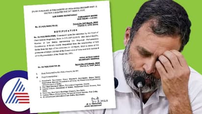 Breaking : எம்.பி., பதவியிலிருந்து ராகுல் காந்தி நீக்கம்!