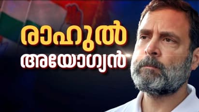 രാഹുൽ ഗാന്ധിക്ക് എംപി സ്ഥാനം നഷ്ടമായി; അയോഗ്യനാക്കി ലോക്സഭാ സെക്രട്ടേറിയേറ്റ് വിജ്ഞാപനം