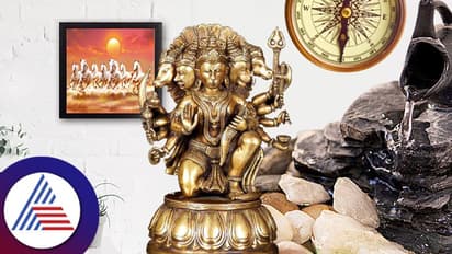 Vastu Tips : ಕಚೇರಿಯಲ್ಲಿ ಹಣದ ಹೊಳೆಯಾಗ್ಬೇಕೆಂದ್ರೆ ಇವನ್ನಿಡಿ