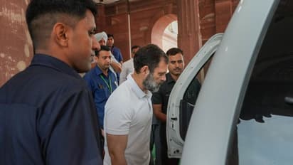 'Targetted for questioning Modi-Adani links...' Congress protests Rahul Gandhi's disqualification